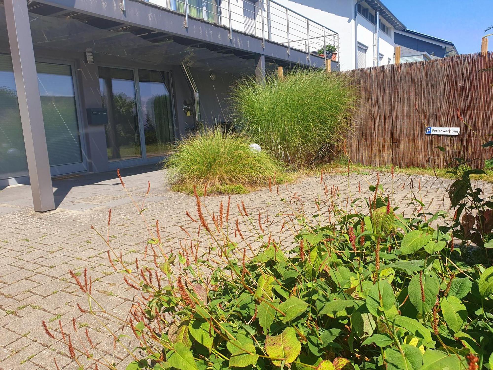 Fewo 95 Gorwihl Exteriör bild
